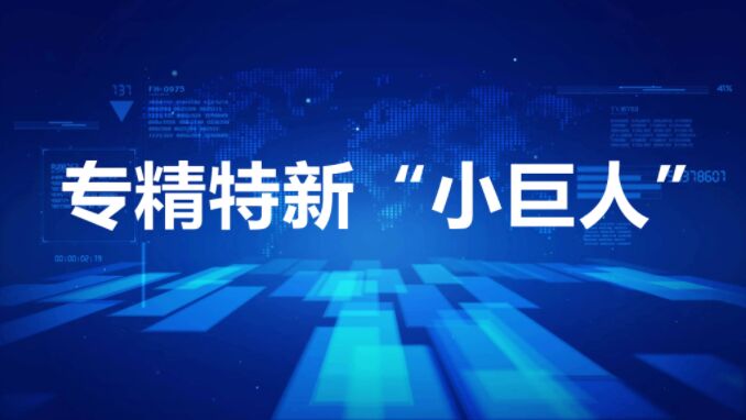 认定为专精特新小巨人企业有哪些优势？