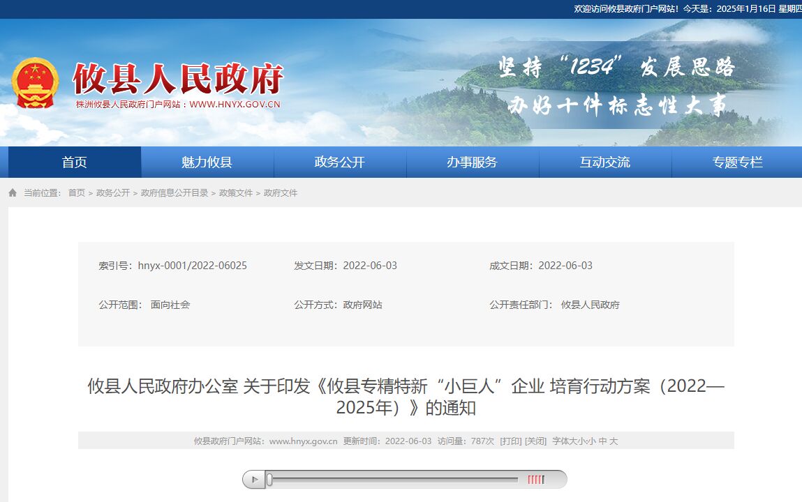 攸县专精特新“小巨人”企业培育行动方案(2022—2025年) 攸县专精特新“小巨人”企业培育行动方案(2022—2025年)