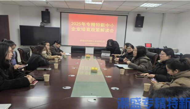 荷塘区科工信局举办2025年专精特新中小企业培育政策解读会