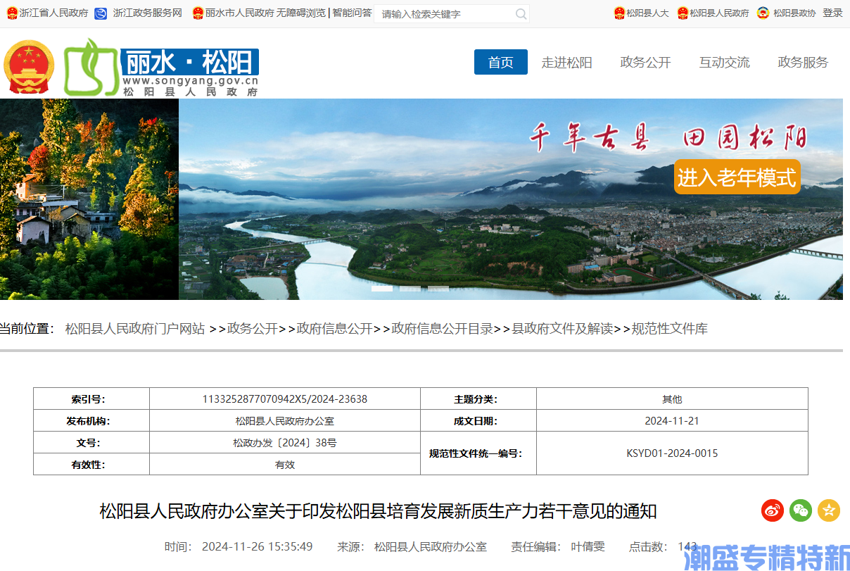 丽水市松阳县"专精特新"奖励政策：松阳县培育发展新质生产力若干意见