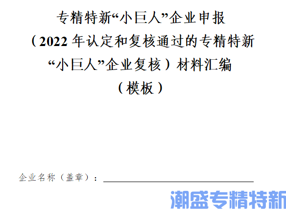 河南省专精特新“小巨人”企业申报 （2022年认定和复核通过的专精特新 “小巨人”企业复核）材料汇编 （模板）