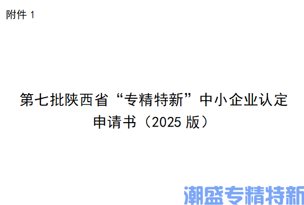 陕西省“专精特新”中小企业认定申请书（2025版）