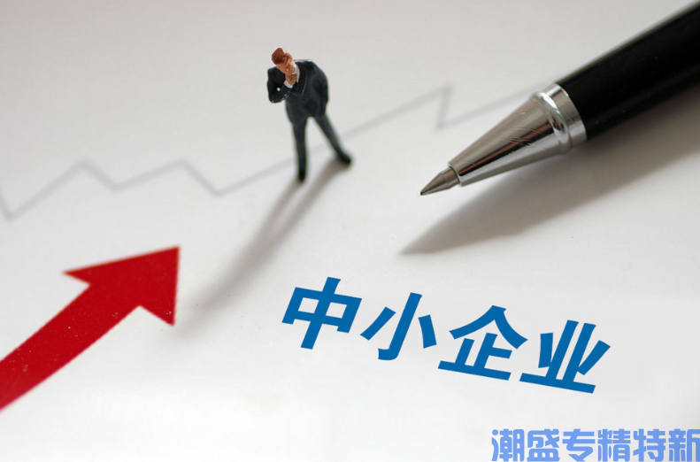 创小与专精特新:中小企业梯度成长的“地基”与“阶梯” 创小与专精特新:中小企业梯度成长的“地基”与“阶梯”