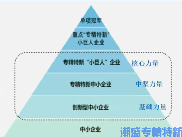 “专精特新”企业培育机制