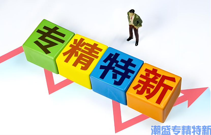 2026年度专精特新“小巨人”企业认定+复核申报指南(收藏版) 2026年度专精特新“小巨人”企业认定+复核申报指南(收藏版)