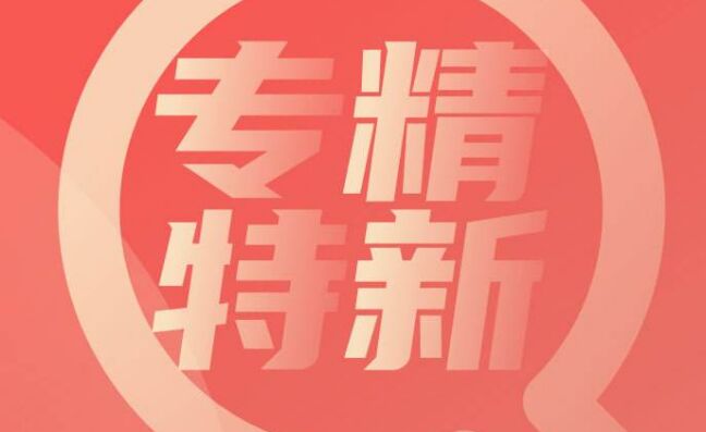 专精特新指标分析解读