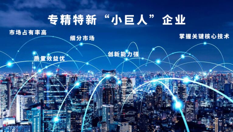 2025年专精特新“小巨人”企业认定标准