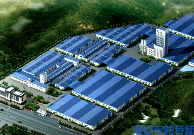 专精特新“小巨人”：主导产品市场占有率说明【案例模板】